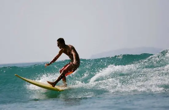 wildmex surfing